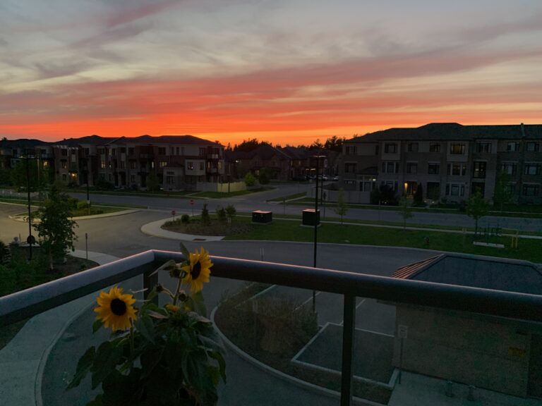 PT 317 6 Sunset