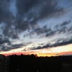 IMG_0481
