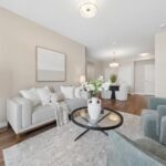 Model Suite - 01