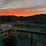PT 317 6 Sunset