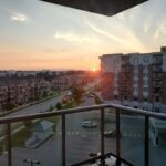 WT 503 Sunrise